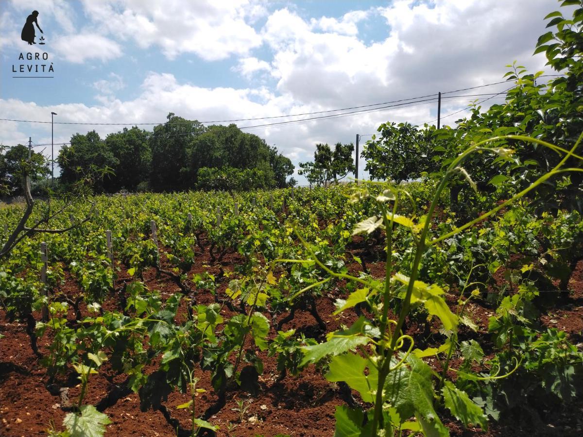 Agro Levita Locorotondo Exteriör bild